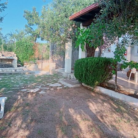 הוילה ויאסטה Casa Del Carrubo מראה חיצוני תמונה