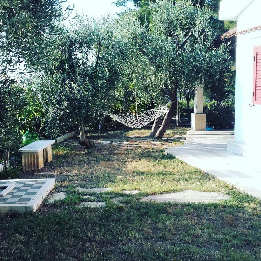הוילה ויאסטה Casa Del Carrubo מראה חיצוני תמונה